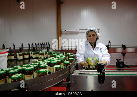 Eine israelische Frau, die in der Honigfabrik von Kibbuz arbeitet Yad Mordechai im Süden Israels Stockfoto