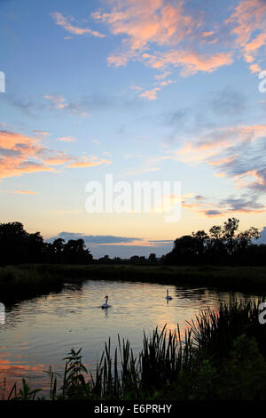 Sonnenuntergang über dem Fluss Wylye in der Nähe von großen Wishford in Wiltshire, England. Stockfoto