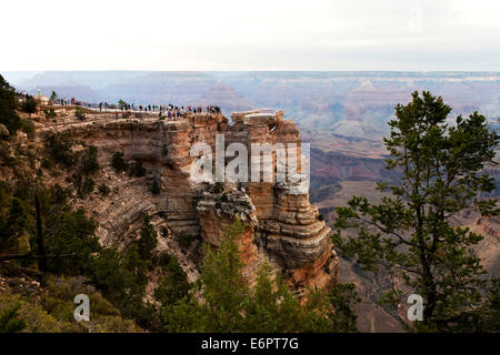 Gruppe von Touristen genießen die Aussicht von der South Rim des Grand Canyon, Arizona, USA Stockfoto