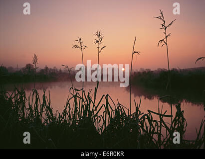 Eine Biegung in den Fluss Wylye in Wiltshire, England, fotografiert bei Sonnenaufgang. Stockfoto