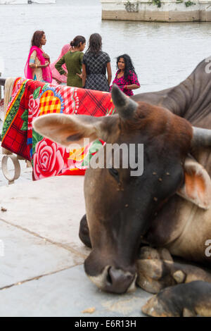 Kuh ruht in einer Straßenszene am See Udaipur, Rajasthan, Frauen im Chat im Hintergrund Stockfoto