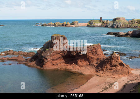 Roter Sandstein Aufschlüssen mit Dunbar Burg im Hintergrund, East Lothian, Schottland, Europa Stockfoto