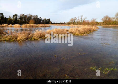 Wasser fließt aus dem Fluss Wylye in Wiltshire, England. Stockfoto