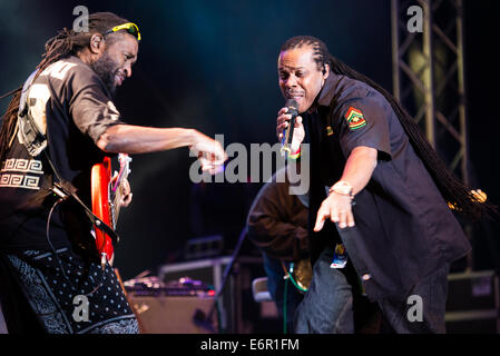 Innenkreis, jamaikanische Reggae-Gruppe, als Headliner des Festivals Lent, Maribor, Slowenien, 4. Juli 2014 Stockfoto