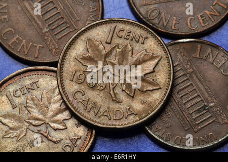 Münzen aus Kanada. Ahornblätter in der kanadischen ein-Cent-Münze dargestellt. Stockfoto