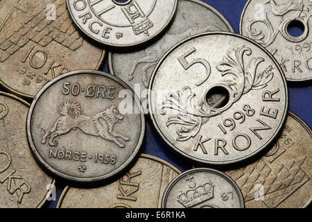 Münzen von Norwegen. Norwegischer Elchhund Hund in die norwegische fünfzig Erz-Münze und die norwegische fünf Kronen-Münze abgebildet. Stockfoto