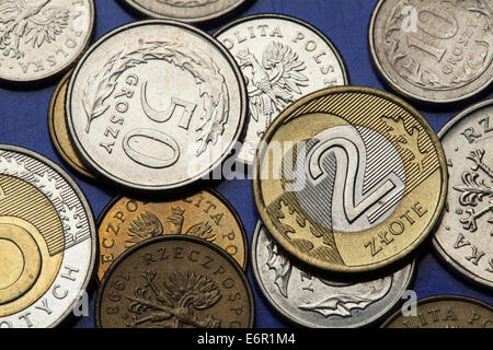 Münzen aus Polen. Zwei polnische Zloty und 50 Croszy Münzen. Stockfoto