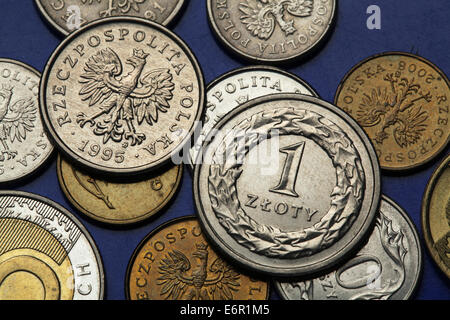 Münzen aus Polen. Polnische Staatswappen der White Eagle in Polen Zloty Münzen und eine polnische Zloty Münze dargestellt. Stockfoto