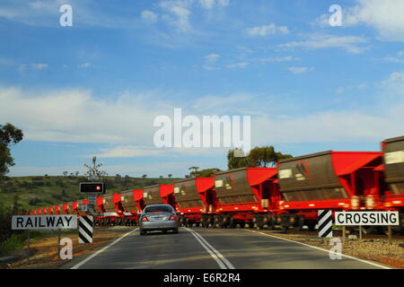 Ein Auto wartet an einem Bahnübergang wie ein Güterzug mit Getreidesilos die Straße in der Nähe von Northam, Western Australia überquert. Stockfoto