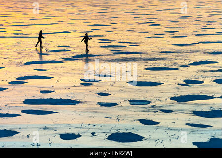 Eislaufen auf dem See Dümmer, Dümmerlohhausen, Landkreis Diepholz, Niedersachsen, Deutschland Stockfoto