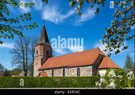 Kirche st. Maria in Vechta-Oythe Vechta, Landkreis Vechta, Oldenburger Münsterland, Niedersachsen, Deutschland Stockfoto