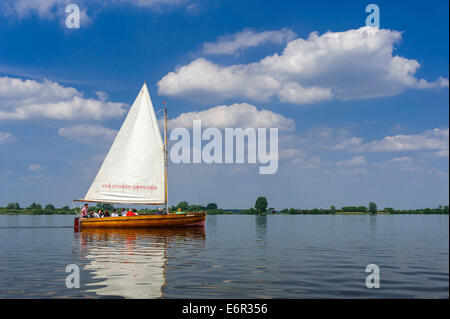 Segeln auf See Dümmer, Dümmerlohhausen, Landkreis Diepholz, Niedersachsen, Deutschland Stockfoto