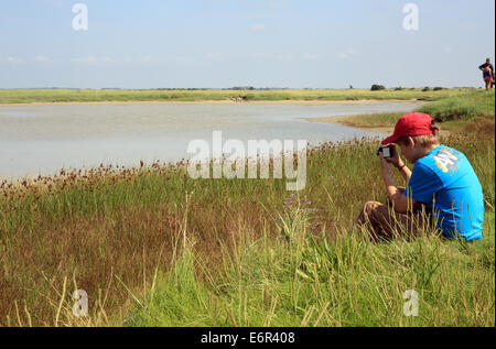 11 Jahre alter Junge fotografieren auf Baie de l'Authie, Fort Mahon Plage, Somme, Picardie, Frankreich Stockfoto