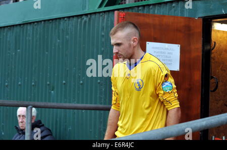 Schottische Sun Tiefland Liga Dalbeattie Star 5 BSC Glasgow 1 Islecroft Stadium Samstag, 16. August 2014 Stockfoto