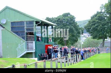 Schottische Sun Tiefland Liga Dalbeattie Star 5 BSC Glasgow 1 Islecroft Stadium Samstag, 16. August 2014 Stockfoto