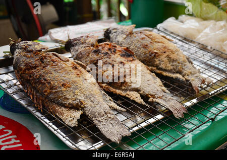 Tilapia Fisch Grill gebraten Stockfoto