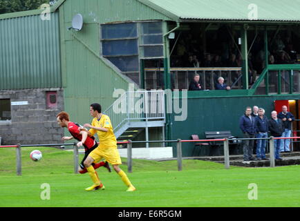 Schottische Sun Tiefland Liga Dalbeattie Star 5 BSC Glasgow 1 Islecroft Stadium Samstag, 16. August 2014 Stockfoto