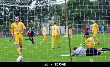 Schottische Sun Tiefland Liga Dalbeattie Star 5 BSC Glasgow 1 Islecroft Stadium Samstag, 16. August 2014 Stockfoto