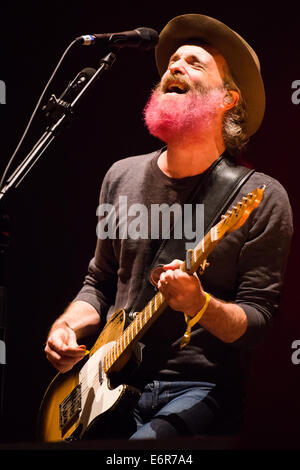 Rosa bärtigen Sänger und Rhythmus-Gitarrist Fran Healy von Travis, Bazant Pohoda Festival, Trencin, Slowakei, 11. Juli 2014 Stockfoto