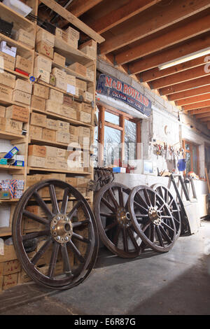 Traditionelle Stellmacher Greg Rowlands arbeitet an einem neuen Rad in seiner Werkstatt in Colyton Devon Stockfoto