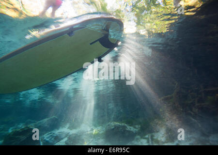 Unterwasserbilder mit dem Fotografen nach oben auf dem Stand up Paddle Board auf der Oberfläche im kristallklaren Wasser Stockfoto