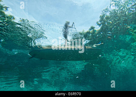 Unterwasserbilder mit dem Fotografen nach oben auf dem Stand up Paddle Board auf der Oberfläche im kristallklaren Wasser Stockfoto