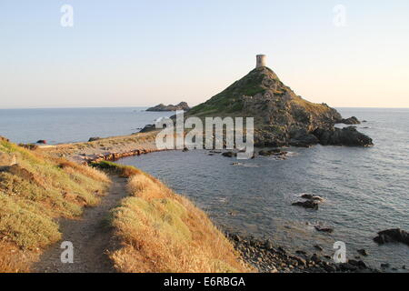 Iles Sanguinaires, in der Nähe von Ajaccio, Korsika, Frankreich Stockfoto
