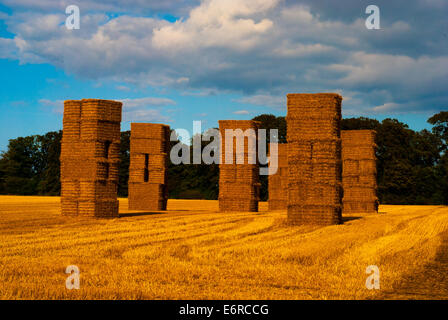 Heuballen auf einem Sommertag bei Sonnenuntergang mit einem starken goldenen Glanz. Stockfoto