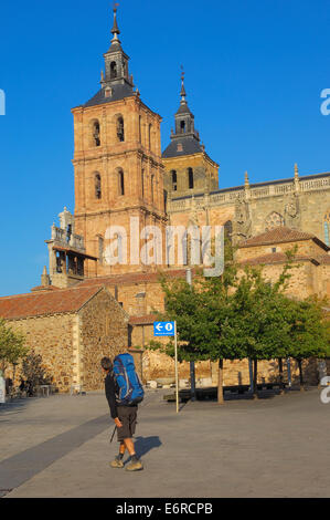 Astorga, Dom, Via De La Plata, Ruta De La Plata, Provinz Leon, Camino de Santiago, Way of St. James, Castilla y Leon, Spanien Stockfoto