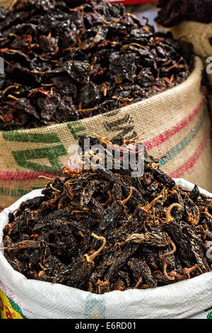 Getrockneter und geräucherter Pasilla Paprika auf Benito Juarez Market in Oaxaca, Mexiko. Stockfoto