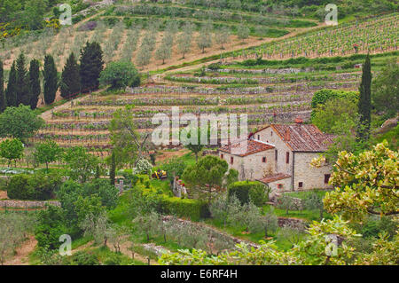 Chianti, Radda in Chianti, Toskana Landschaft, Provinz Siena, Toskana, Italien, Stockfoto