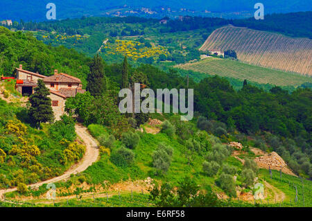 Chianti, Radda in Chianti, Toskana Landschaft, Provinz Siena, Toskana, Italien, Stockfoto