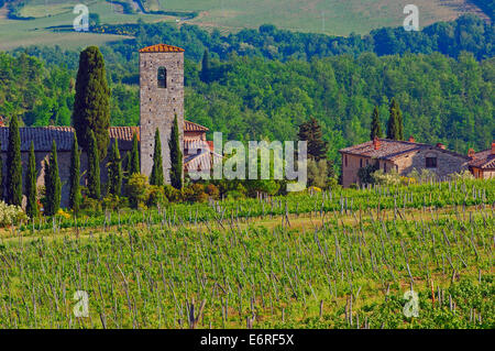 Chianti, Radda in Chianti, Weinberge, Tuscany Landschaft, Provinz Siena, Toskana, Italien, Stockfoto