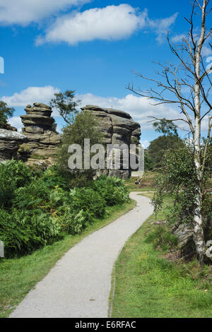 Brimham Rocks in der Nähe von Ripon, North Yorkshire, ist Teil des Bereichs Nidderdale von außergewöhnlicher natürlicher Schönheit Stockfoto