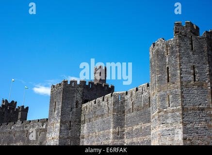 Die Wände von Caernarfon Castle in Nordwales Stockfoto