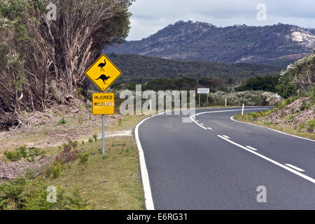 Australische Verkehrsschilder Wildlife Känguru und Tierwelt auf einem Roadtrip, umgeben von Bergen und Bäumen Stockfoto