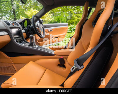 Lederausstattung für einen luxuriösen Sportwagen in Wald erschossen. Stockfoto