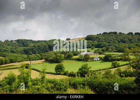 Blick auf die Landschaft in Somerset Stockfoto