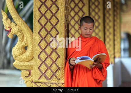 Junge buddhistische Mönch Lesung Gebetbuch in Laos Tempel Stockfoto