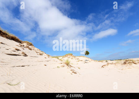 Wüstenlandschaft Slowinski Nationalpark Polen Ostsee Stockfoto