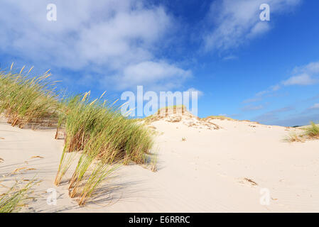 Wüstenlandschaft Slowinski Nationalpark Polen Ostsee Stockfoto