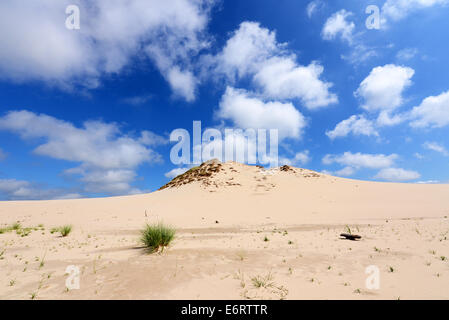 Wüstenlandschaft Slowinski Nationalpark Polen Ostsee Stockfoto