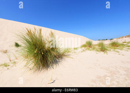 Wüstenlandschaft Slowinski Nationalpark Polen Ostsee Stockfoto