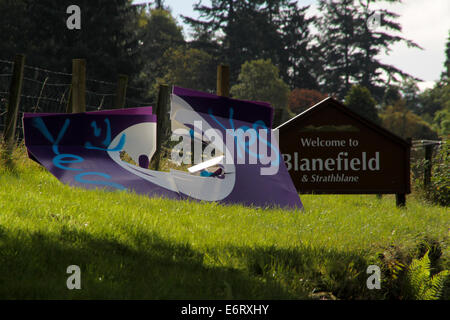 Blanefield, Strathblane und Milngavie Schottland 30. August 2014. In einem scheinbar immer hässlich Referendum Kampagne Ja Stimmen Anhänger zerstören und keine Kampagne Plakate in Stirlingshire und East Dunbartonshire zu verunstalten. Bildnachweis: ALAN OLIVER/Alamy Live-Nachrichten Stockfoto