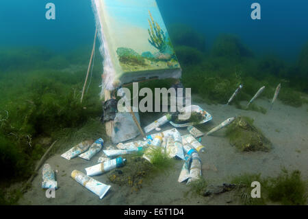 Listwjanka, Irkutsky, Russland. 30. August 2014. Das Bild gemalt unter Wasser, Künstler Yuriy Alexeev (Yuri Alekseev). Baikalsee, Listwjanka, Irkutsky Bezirk, Oblast Irkutsk, Sibirien, Russland, Eurasien Credit: KEN VOSAR/Alamy Live-Nachrichten Stockfoto