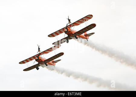 AeroSuperBatics Wingwalkers präsentiert das Breitling Wingwalkers Display Team, das auf der Shoreham Airshow 2014 auftritt. 30. August 2014 Stockfoto