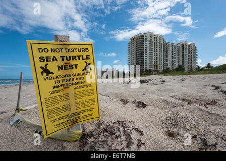Geschützten Sea Turtle Nest auf Singer Island, Florida, USA Stockfoto