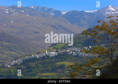 Las Alpujarras, Capileira, Alpujarras Mountains Area, Provinz Granada, Andalusien, Spanien Stockfoto