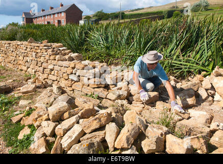 Mann, der arbeitet, Bau einer Trockensteinmauer in der Nähe von Abbotsbury, Dorset, England Stockfoto