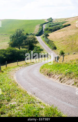 Schmale kurvenreiche Landstraße vorbei durch die Landschaft in der Nähe von Abbotsbury, Dorset, England Stockfoto